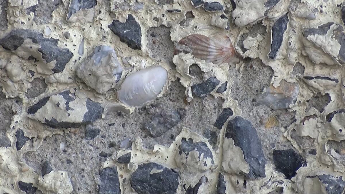 "MAALESEF BURASI DIŞ ETKENLERE ÇOK AÇIK KALMIŞ" <br>Jeofizik Yüksek Mühendisi Sarper Celasun ise, “Yerin depremi büyütmesi ve yapının deprem sırasında rezonansa girmesine bakıyorum. Maalesef burası dış etkenlere çok açık kalmış. Bunlardan dolayı içerisinde paslanmalar olmuş. Beton kalitesi düşmüş sıkıntılı bir yapı. Bir yapının depremde ne olurunu tam olarak söylemek için yerde nasıl etki edeceğini de söylemek gerek. Yerin depremde nasıl çalkalanacağına bakmamız gerek. Yapının bulunduğu yerin depremi ne kadar büyüttüğüne bakıyoruz. Yerde ölçümleri alıyoruz. Burada gördüğünüz açılmalar ve içerisindeki deniz kabukları beton kalitesinin düşük olduğunu gösteriyor. Dış etkenlere de maruz kalarak artık parçalandığını görüyoruz. Demirler yaprak gibi dökülmeye başlamış. Bu demirlerin dayanımından artık söz edilemez. Bu yapı açıkçası çok sağlıksız mutlaka incelenmesi yeniden yapılması gerek. Bu ultrason cihazı ile duvarlara zarar vermeden betonun niteliğini ölçeceğiz. Betonun içerisine yüksek frekanslı ses dalgası göndererek betona zarar vermeden ölçmüş oluyoruz. Beton içerisindeki sismik yüksek frekanslı ses dalgalarının varış zamanlarına bakıyoruz. Ne kadar çabuk ses dalgası alıcıdan vericiye hızlı giderse beton kalitesi o kadar yüksek oluyor. Burada zamanı okuyoruz. Şu an beton kalitesi oldukça düşük. Sadece yapı değil yer de bu konuda çok önemli. İkisinin birden değerlendirilmesi lazım ama sağlıksız yapılar bunun gibi içerisinde deniz kumu kabuğu olan yapılar zaten riskli" şeklinde konuştu.