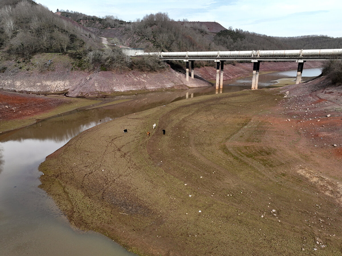 Kente su sağlayan baraj ve göletler, 868 milyon 683 bin metreküp biriktirme hacmine sahipken, su miktarı bugün itibarıyla 307,73 milyon metreküp seviyesinde kayda geçti.<br>