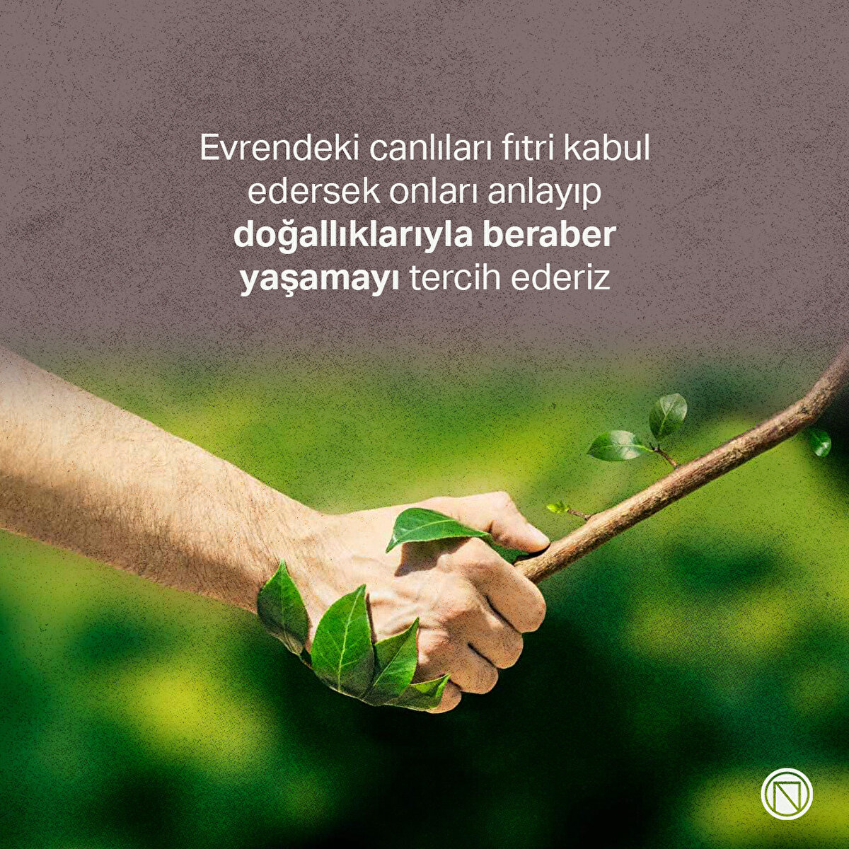 Evrendeki canlıları fıtri kabul edersek onları anlayıp doğallıklarıyla beraber yaşamayı tercih ederiz.