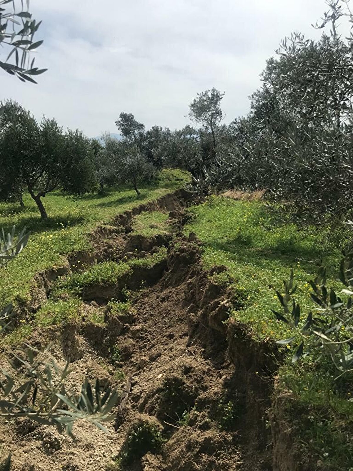 Prof. Dr. Sözbilir, "10 metrelik yer değiştirme faya bağlı bir hareket olsaydı; 8.1'e varan deprem olmasını gerektirirdi. Böyle bir durumda Samandağı'nda can ve mal kaybı katbekat artardı. Burada gözlenen olay ise bölgede kritik dengede duran heyelanların şiddetli sarsıntı nedeniyle aktif hale gelmesi şeklinde açıklanabilir. Buna benzer heyelanlar, Altınözü gibi alanlarda görüldüğü gibi faylardan uzak yerlerde de gözlenmiştir. Depremler sırasında veya hemen sonrasında gelişen jeolojik yapıların doğru tanımlanması ve bu tür heyelanlı bölgelerin depremlerden önce belirlenmesi hayati derecede önem taşımaktadır" dedi.