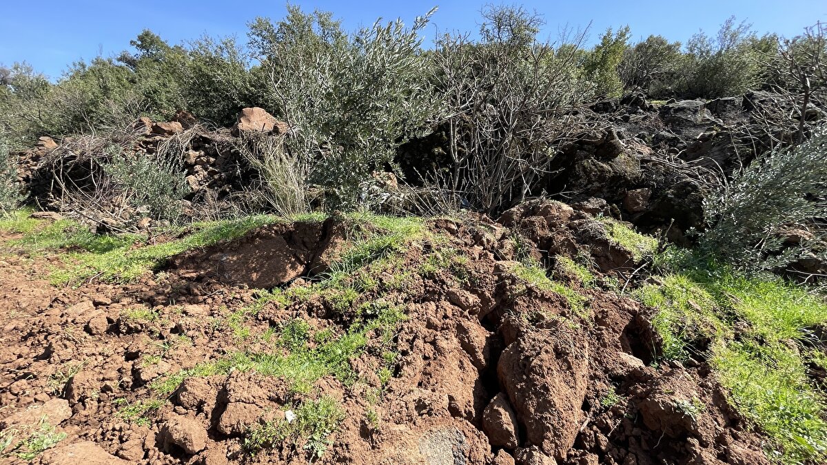 Yer altı su kuyularının tahrip olduğu depremde, Hassa'da zeytinlikte yer kaymaları, yarıklar ve kot farkı oluştuğu görüldü.<br>