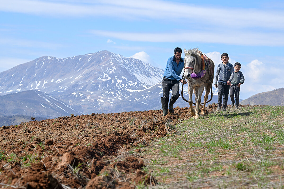 Geçimlerini topraktan sağladıklarını belirten Taşatan, "Hayat acısıyla tatlısıyla devam ediyor. Buğdayı ektik, şimdi nohut ekiyoruz. Bağın budamasını tamamladık. Mecbur hayatımızı bir şekilde sürdüreceğiz. Çiftçiler üretmek zorunda. Memleketimizi tekrar kalkındırmak için üreteceğiz." dedi.