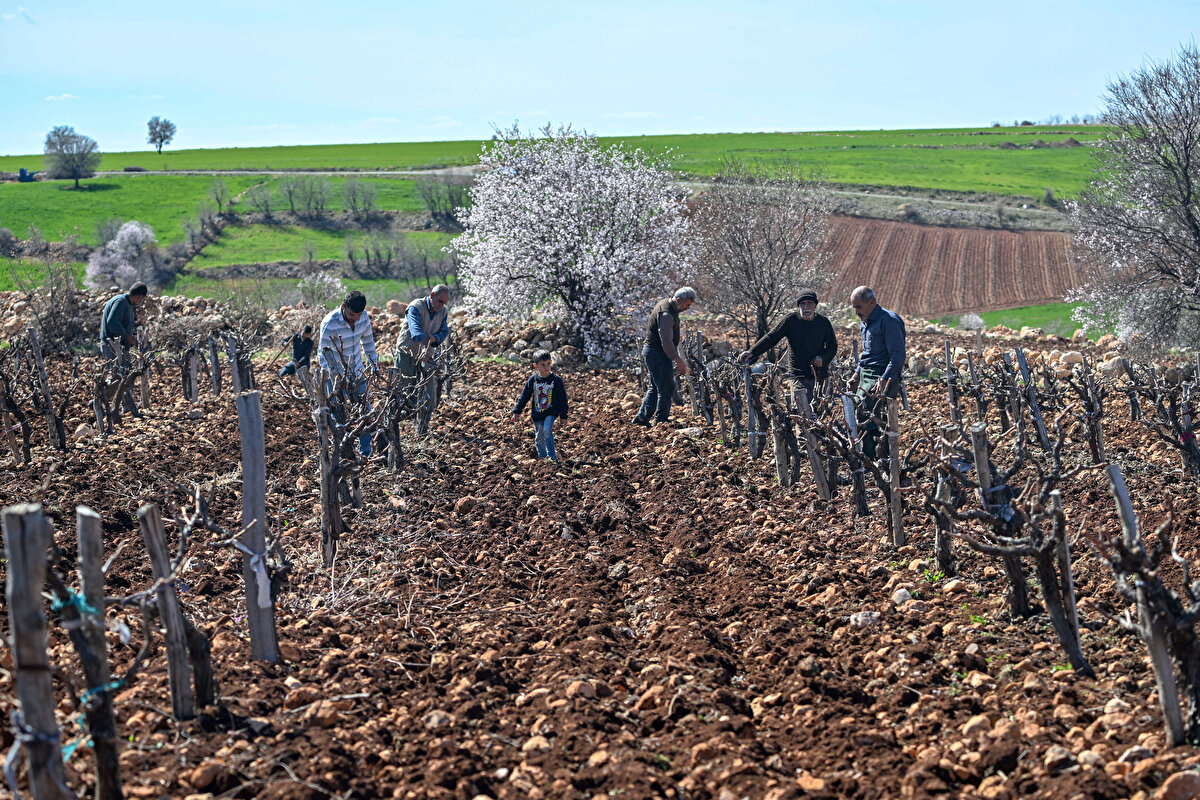 İlkbaharla birlikte tarlalarına giren çiftçiler, çapa, ekim, bağ budama, gübreleme, ilaçlama gibi işlemler yapıyor.