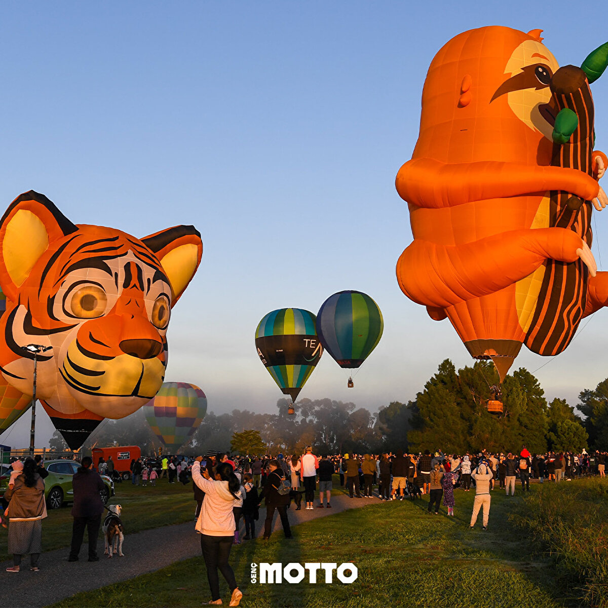 Bazı uçan balonların Tembel Hayvan (Sloth) ve Kaplan şeklinde olduğu görüldü. 