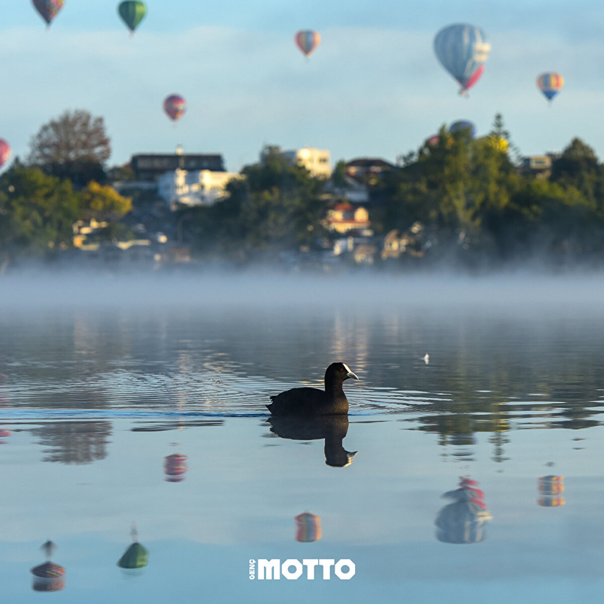 Yeni Zelanda’da uçan balon festivali başladı.