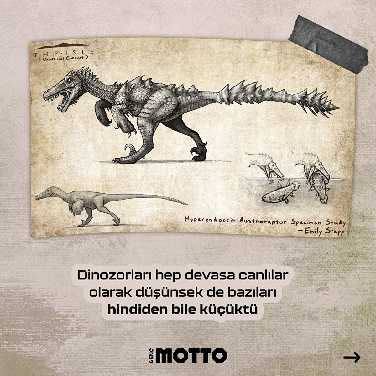 Dinozorları hep devasa canlılar olarak d&#252;ş&#252;nsek de bazıları hindiden bile k&#252;&#231;&#252;kt&#252;.