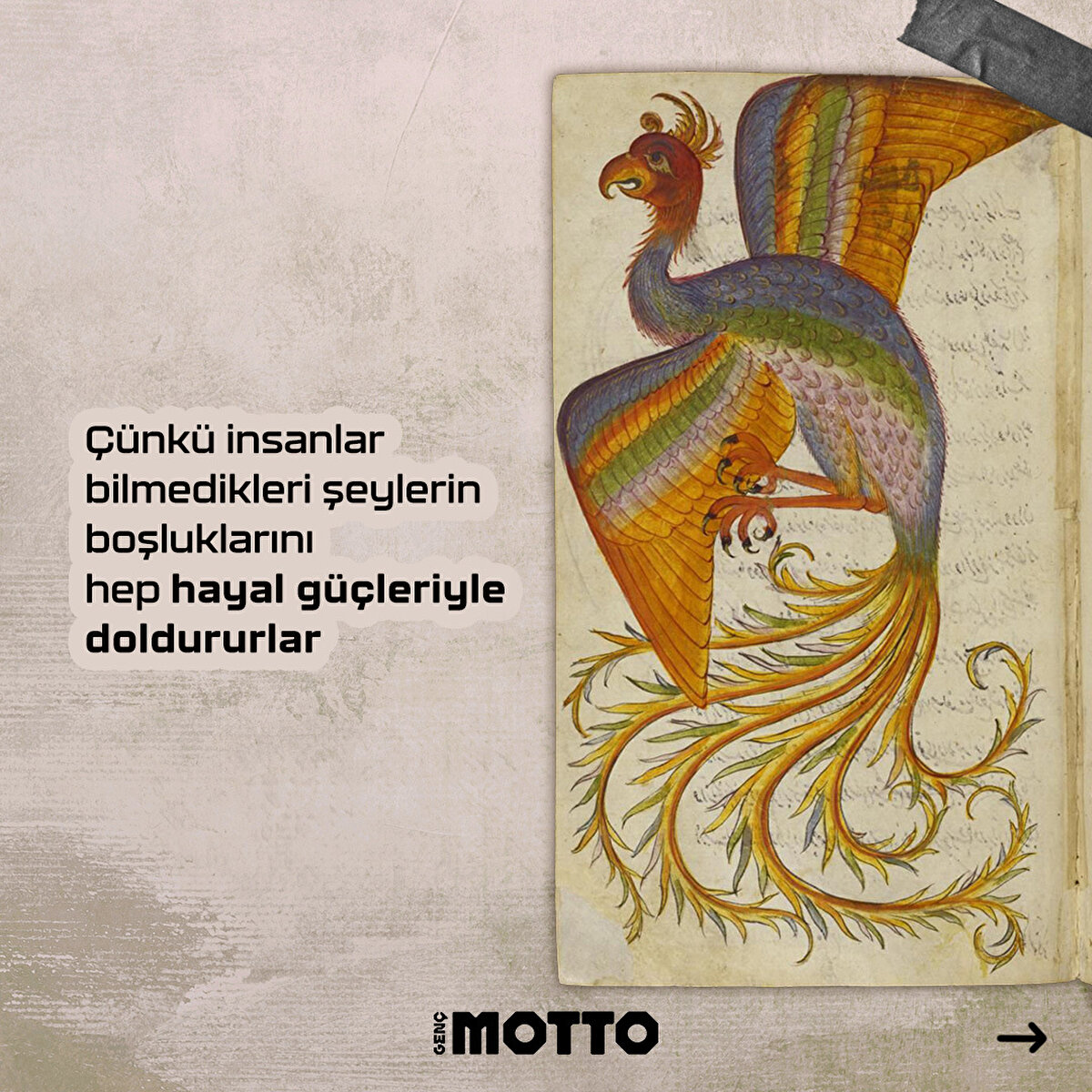 &#199;&#252;nk&#252; insanlar bilmedikleri şeylerin boşluklarını hep hayal g&#252;&#231;leriyle doldururlar.