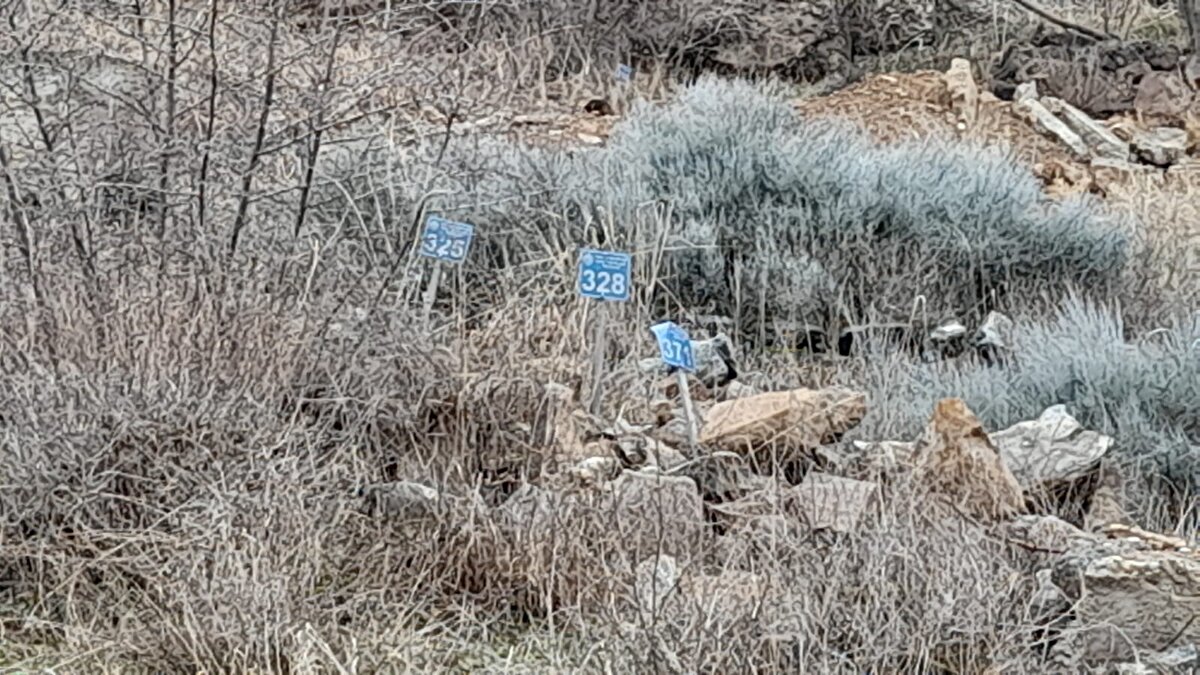 Çoruh'un üzerine projelendirilip, temeli 26 Şubat 2013'te atılan, 275 metre gövde yüksekliğiyle Türkiye'nin en yüksek, dünyanın 5'inci en yüksek barajı Yusufeli Barajı ile Hidroelektrik Santrali (HES) inşası tamamlandı.