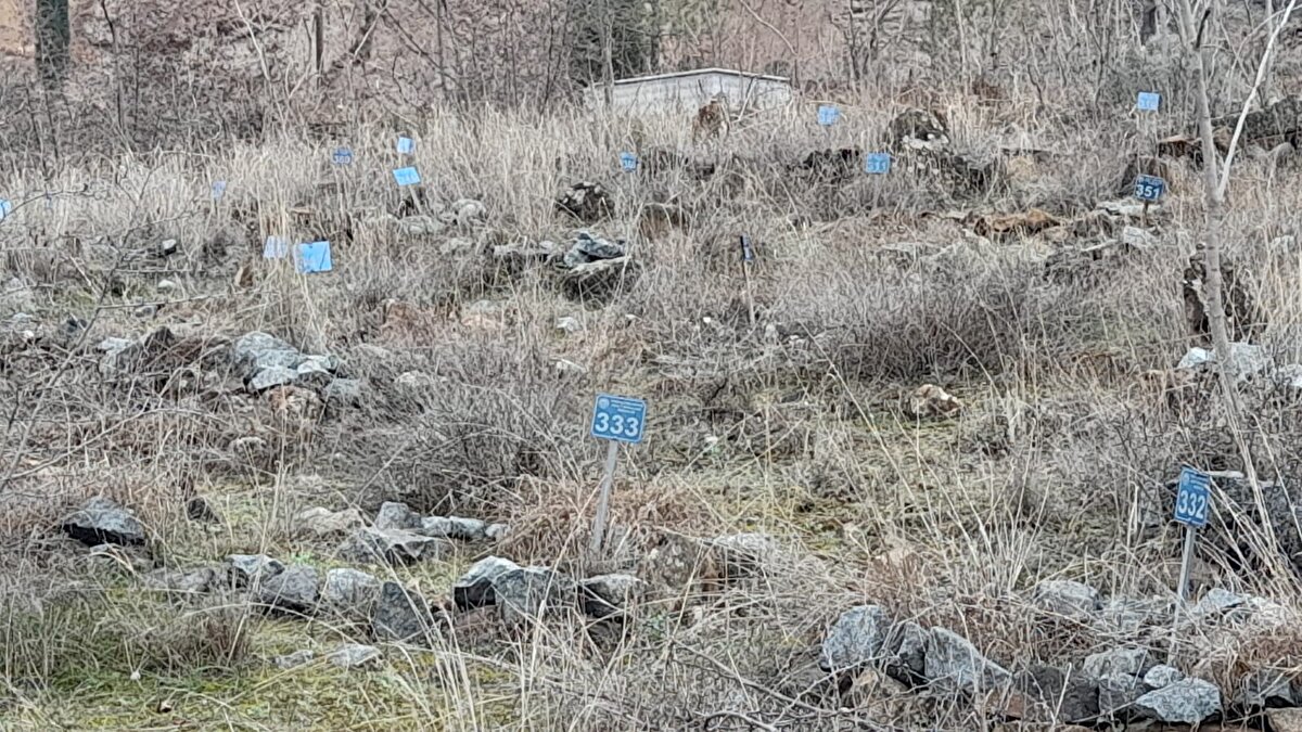  558 megavat kurulu gücüyle ülke ekonomisine yıllık 5 milyar lira katkı sağlayacak projeyle gövdesi, düşey ve yatay düzlemde kavisli şekilde tasarlanan dev gövdenin arkasında depolanan suyun potansiyel enerjisi, yıllık ortalama 1 milyar 900 milyon kilovat saatlik elektrik enerjisine dönüştürülecek. 2,3 milyar metreküp su depolama hacmine sahip baraj, 29 Mayıs 2023'te elektrik üretimine geçecek.