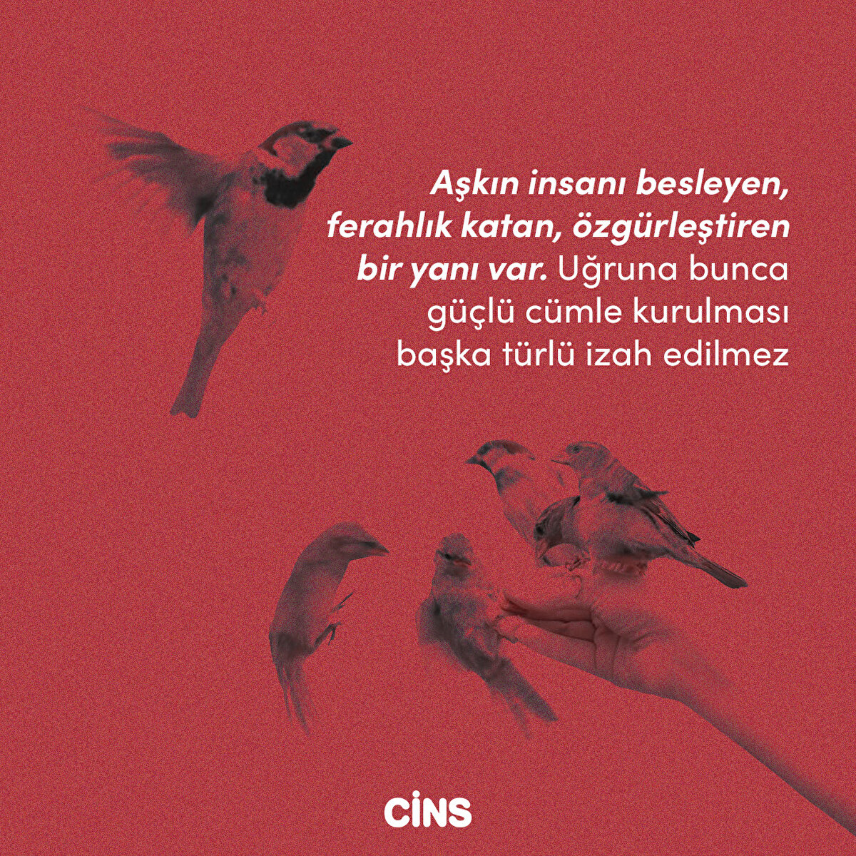 Aşkın insanı besleyen, ferahlık katan, özgürleştiren bir yanı var. Uğruna bunca güçlü cümle kurulması başka türlü izah edilmez