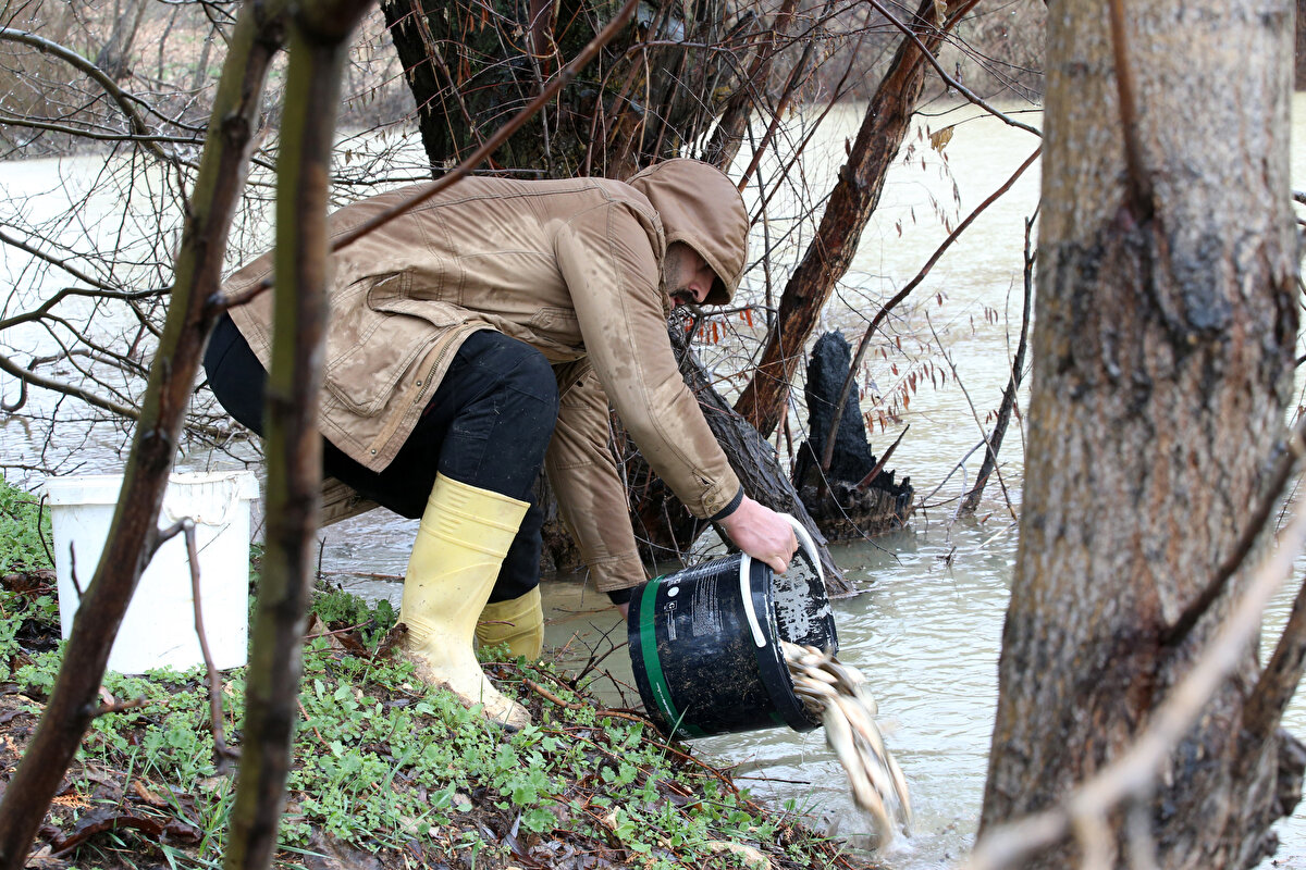 Balıkların durumunu görünce yetkililerin gelmesinin zaman alacağını düşünerek harekete geçtiklerini ifade eden İmer, şunları anlattı: "Balıkları ölümden kurtarmak istedik. Akıntı balıkları almış götürmüş. Biz burada o kadar balık olacağını bile düşünmüyorduk. Görünce şaşırdık. Komşular falan bir araya geldik. Sağ olsunlar yoldan geçenler de gittiler bir yerlerden kovalar alıp geldiler. Elimizle tek tek balıkları toplayıp kovalara doldurduk ve gölete bıraktık. Evin içerisindeki eşyalarımızı taşıyorduk ama yani burada da bir can var. Bu insan, hayvan ne olursa olsun can, candır. Onun için eşyalarımızı bırakıp bu hayvanlara koştuk."<br>