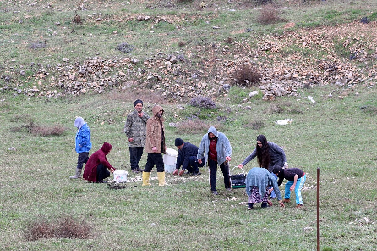 Depremlerde evi ağır hasar alan ve çadırda yaşamını sürdüren mahalle sakinlerinden Fuat İmer, balıkların karaya vurduğunu gördüklerinde komşularıyla seferber olduklarını anlattı.<br>