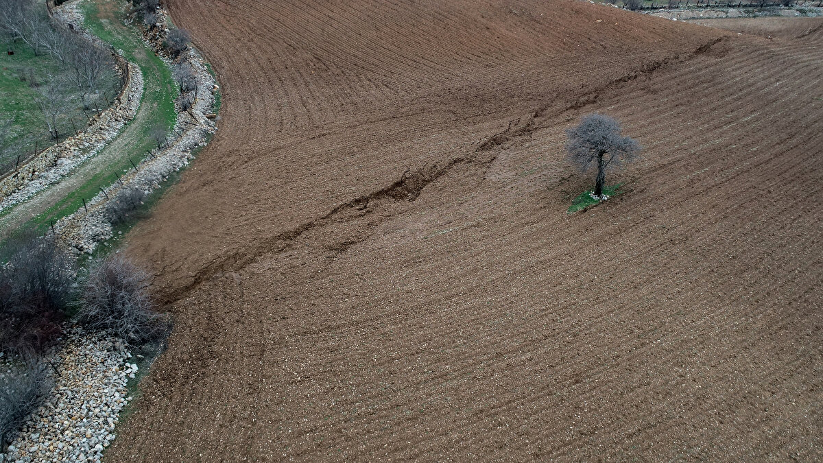 Evlerin arasından geçen, tarım arazilerinde belirginleşen yüzey kırığı, sokakların bir bölümünün çökmesi ve dağdan kayaların kopmasıyla da kendisini gösteriyor.<br><br>