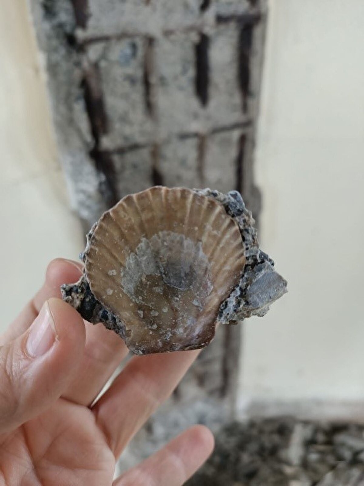 Kız Kulesi'nin internet sitesinden 7 Mart'ta çalışmalarla ilgili yapılan son açıklamada, "Kız Kulesi restorasyonunda önceki paylaşımlarımızda belirtmiş olduğumuz kubbe ahşap imalatları tamamlanmış, kubbe görüntüsü aslına uygun olarak yeniden ortaya çıkarılmış, kaplama ve sonlandırma aşamasına geçilmiştir. Tarihi yığma duvarlardaki güçlendirme çalışmaları tamamlanmıştır. İmalatları tamamlanan kale duvarlarında iskele sökümleri gerçekleştirilmeye başlanmıştır. Diğer mahallerde de iskele sökümlerine devam edilecektir. Kız kulesinin bekası açısından kule ve kale restorasyon çalışmalarına ilave olarak ada çevresinde ortaya çıkan zemin zafiyetlerine yönelik tahkim çalışmaları başlamış ve zemin güçlendirme çalışmaları devam etmektedir. Ada sınırları hizasında ortalama 24 metre derinlikteki ana kayaca ankre çelik-betonarme bütünleşik kazık imalatı yapılmaktadır. Böylece yapının etrafı olası sarsıntılara, zemin kaymalarına ve diğer oluşabilecek tehlikelere karşı güçlendirilmektedir. Ada bünyesinde gerçekleşen tahkim güçlendirme ve kule-kale mahallerindeki diğer imalatlar koordineli olarak devam edilmektedir." ifadeleri kullanıldı.