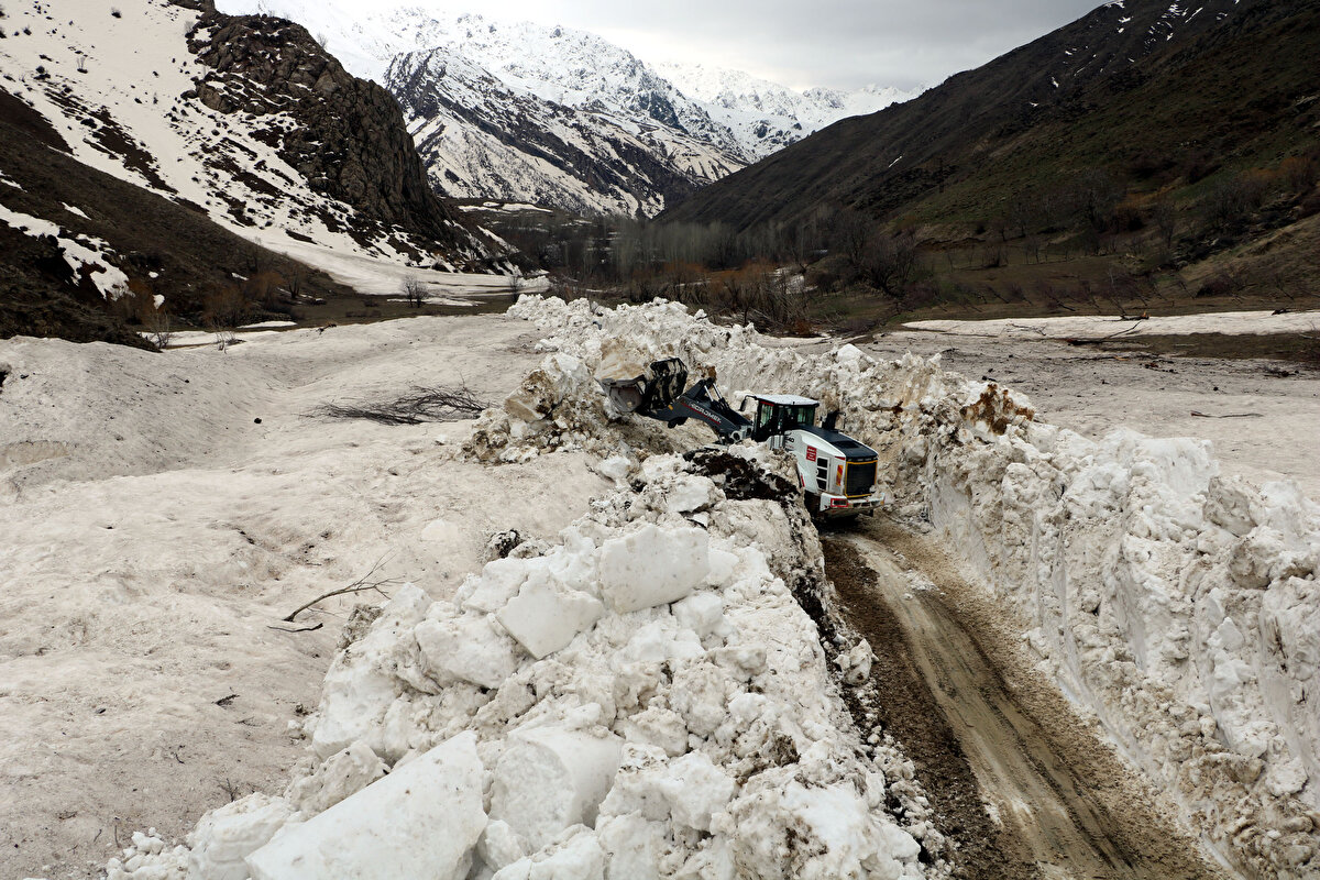 Gürkavak köyünde oturan Abdulnasır Özgüren, her yıl bu mevsimde yola çığ düştüğünü belirterek, "Bu sene inen çığlar, elma ve ceviz ağaçlarımıza büyük zarar verdi. Yaklaşık 100'e yakın ceviz ve elma ağacı kökünden söküldü. Biz de çığ kütleleri altında kalan ceviz ve elma ağaçlarımızı kaldırmaya geldik" dedi. 