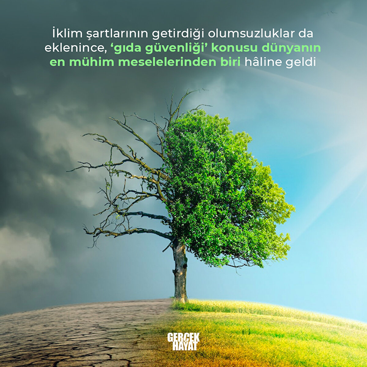 ‘Gıda güvenliği’ konusu dünyanın en mühim meselelerinden biri hâline geldi