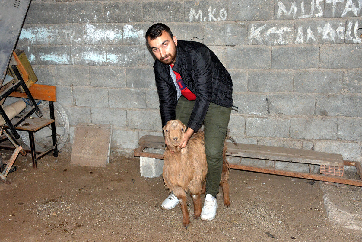 Ahmet Hadi Tündükozan ise deprem sırasında binanın sallandığını, kendilerini dışarı attıktan kısa bir süre sonra da yıkıldığını belirtti. Tündükozan, keçinin enkaz altından 47 gün sonra sağ çıkmasının mucize olduğunu kaydetti.
