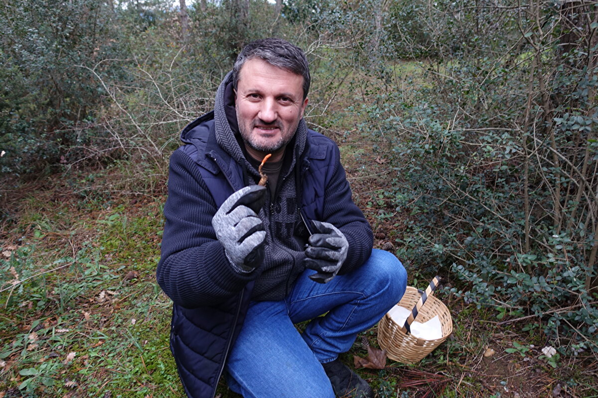 Güleç, küçük bir mantar olmasına karşın kırmızı rengi nedeniyle gezerken kolay fark edilebilecek bu mantarın çam kese böceklerinin istila ettiği çam ağaçlarının bulunduğu yerlerde aranması gerektiğini belirtti.<br><br>Bu mantarın, tırtıl halindeyken etkilediği çam kese böceğinin pupa evresinden beslendiğini, yer altına giren böceği öldürdükten sonra kozaya dönüşen kabuğundan, uygun ısı ve şartlar oluştuğunda yani mevsimi gelince dışarı çıktığını anlatan Güleç, mantarın alt kısmına bakıldığında besi yeri olarak kullandığı çam kese böceğinin pupasının rahatlıkla görülebileceğini ifade etti.<br><br>Güleç, şu an dijital bir platformda yayınlanan The Last Of Us isimli dizide kordiseps mantarının insanları zombiye dönüştüren yeni bir salgına neden olduğu ve yeryüzünün sonunun geleceği gibi bir senaryo işlendiğini, bunun muhtemel nedeninin ise bu mantarın çam kese böceğinde olduğu gibi eklem bacaklıları ele geçirmesi olduğunu dile getirdi.<br><br>