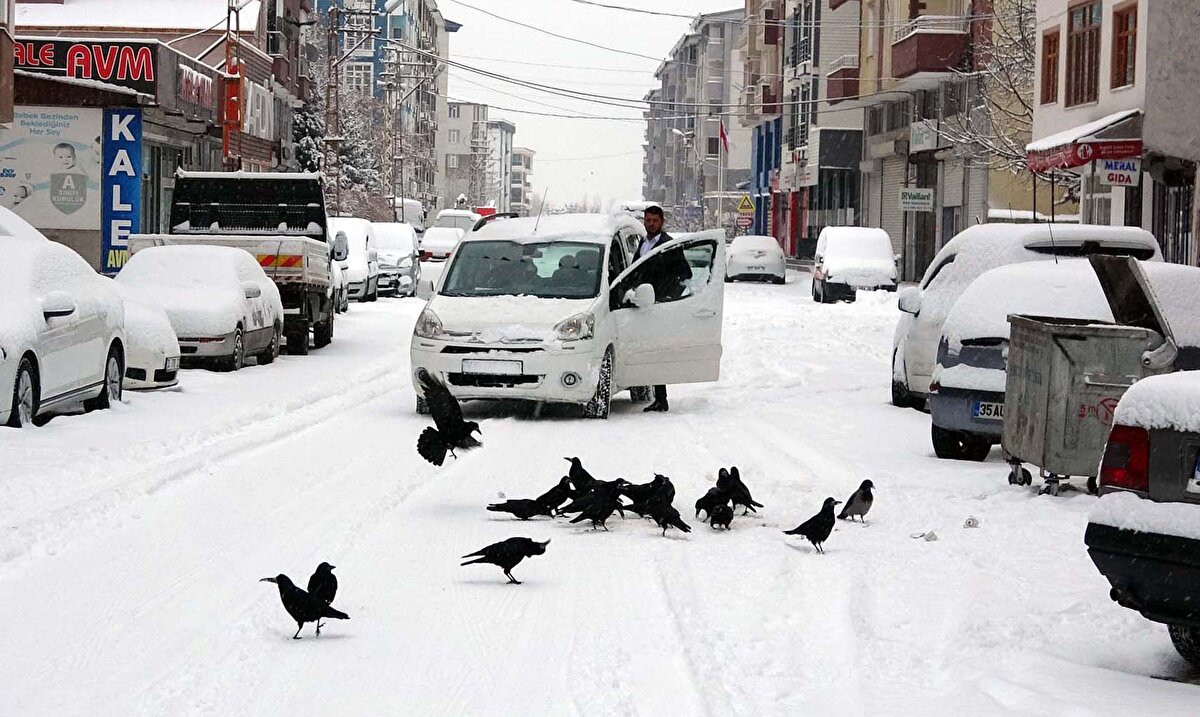 Dolayısıyla buradan şunu çok net anlayabiliyoruz; kar yüksek kesimlere yağıyor. Alçak kesimlere daha az yağıyor, tabii endüstrinin iklim değişikliği üzerindeki etkileri nedeniyle kar yağışında bir azalma var. Evet, bu önemli bir etkidir onu söyleyebiliriz" diye konuştu.