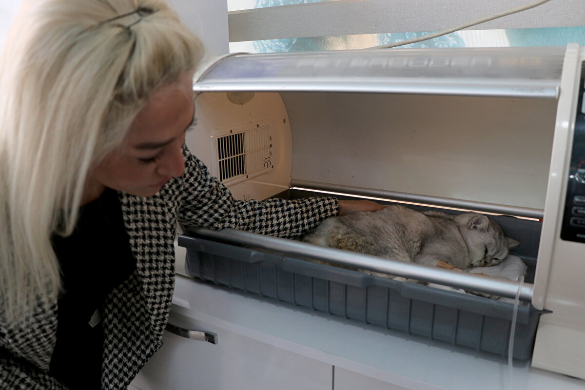 Bina sahibi Fahri Hatipoğlu da kediyi mutfak eşyalarını kurtarmaya çalıştıkları sırada fark ettiklerine dikkati çekerek, "Arkadaşlarla beraber el birliğiyle çıkarttık. Kediyi hemen sahibine ulaştırdık. Sahipleri de uzun zamandır burada bekliyorlardı." diye konuştu.<br>