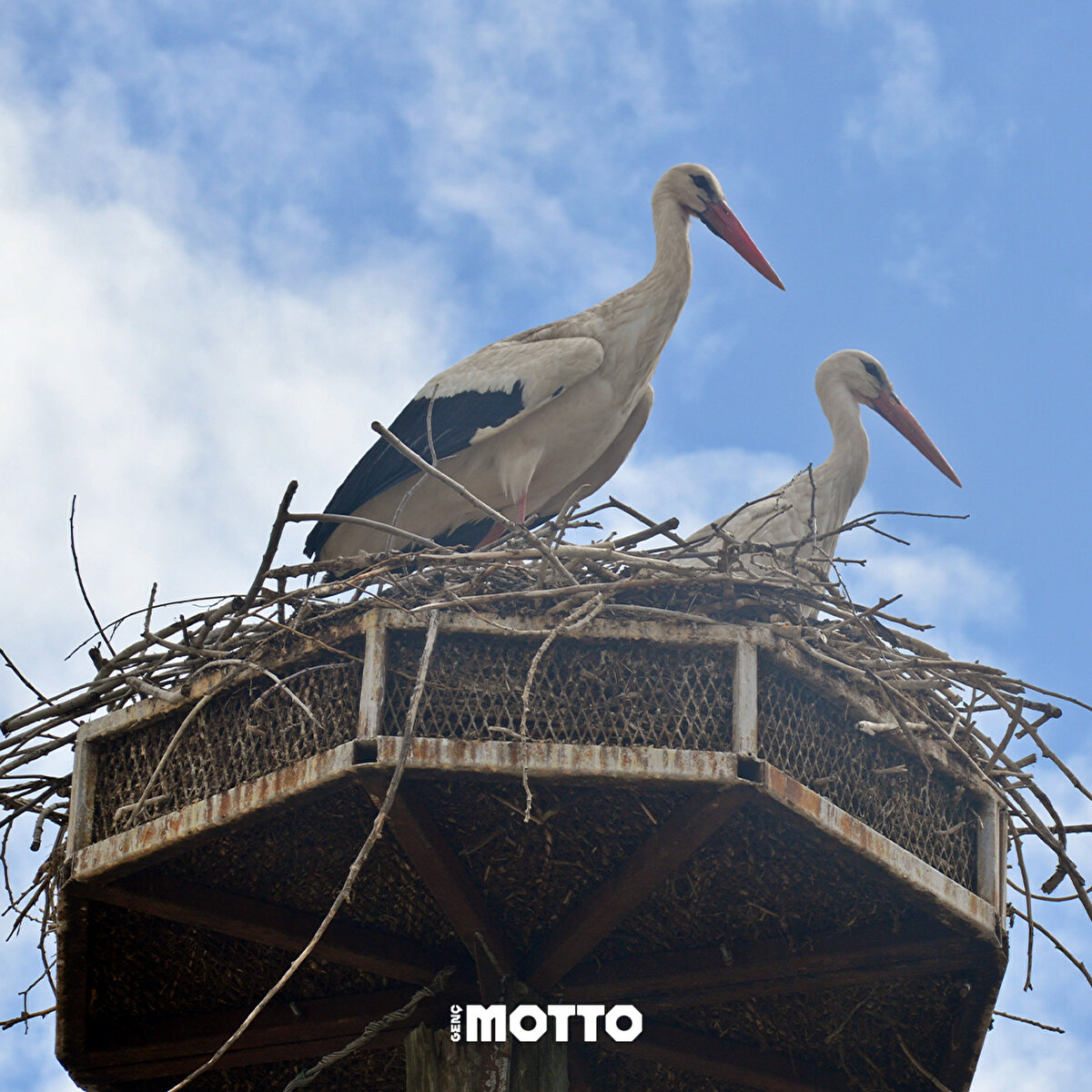 Havaların ısınmasıyla geriye dönüş başladı.