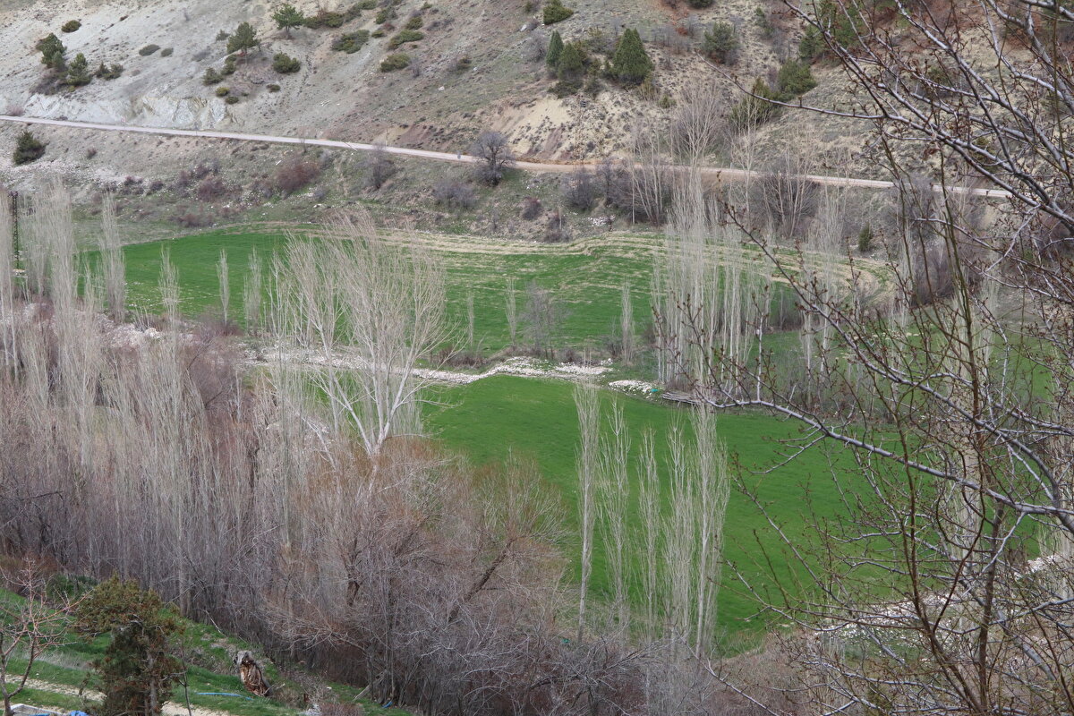 Mahalle içindeki yolun iki tarafı arasında genişliği yaklaşık 1 metre olan 1,5 metre civarında yükseklik farkı ortaya çıktı. Mahalle sakinleri, çökme oluşan yerlerde yolun diğer tarafına geçmek için ahşap merdivenler kullanıyor.