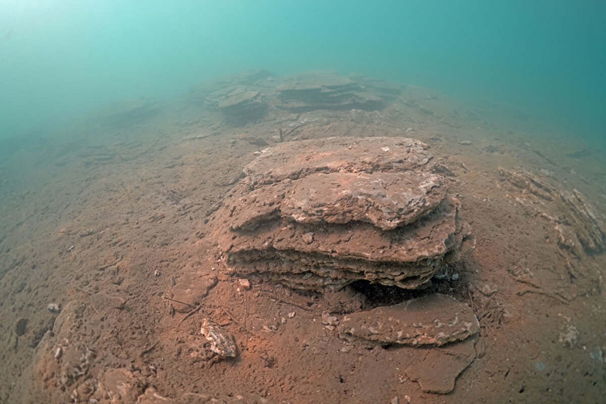 Tahsin Ceylan, böyle bir ekiple çalışma yürütmekten mutluluk duyduğunu söyledi.<br>
