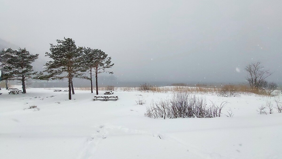 Yağışla birlikte doğal güzellikleriyle ünlü Abant'taki yeşil alanlar, beyaz örtüyle kaplandı. 