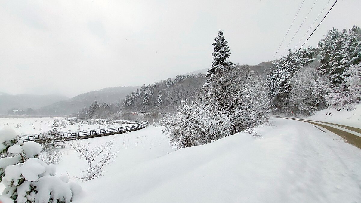 Bölgede kar yağışı sürüyor.
