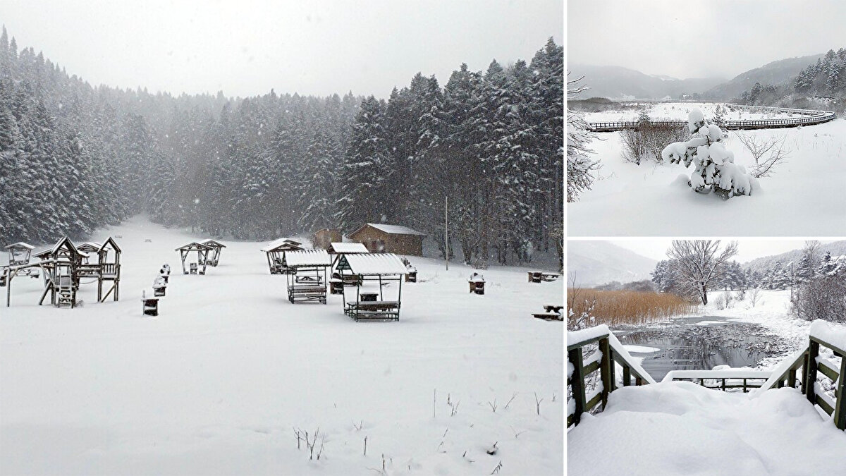 Kent merkezine 35 kilometre uzaklıktaki Abant Gölü Milli Parkı'nda, hava sıcaklıklarının düşmesiyle kar yağışı etkili oldu. 