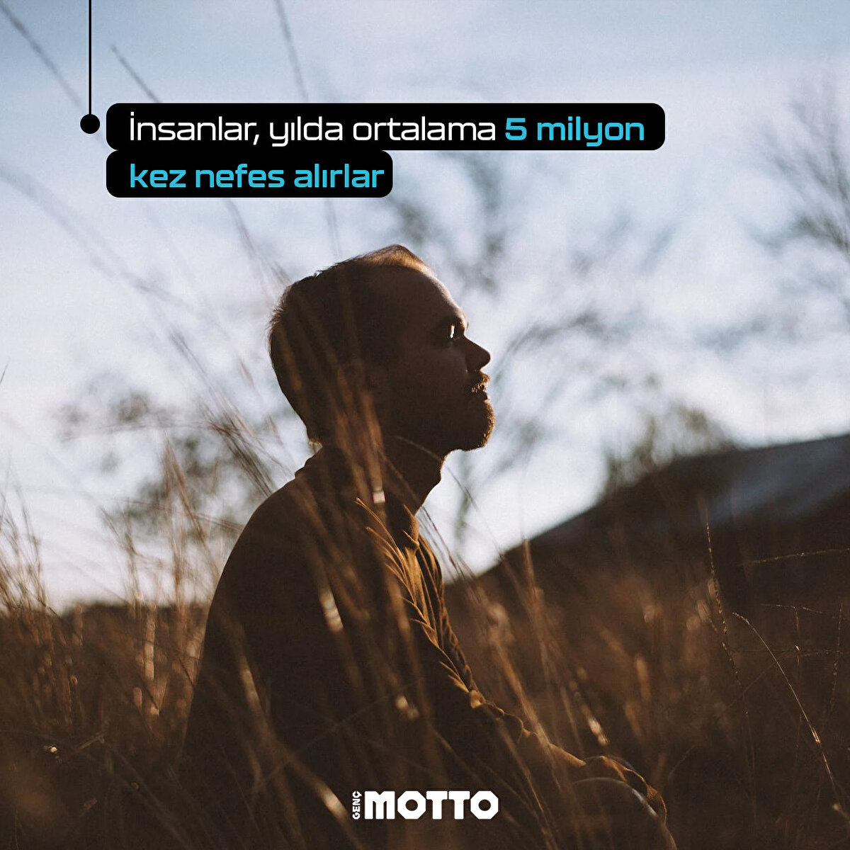 İnsanlar, yılda ortalama 5 milyon kez nefes alır