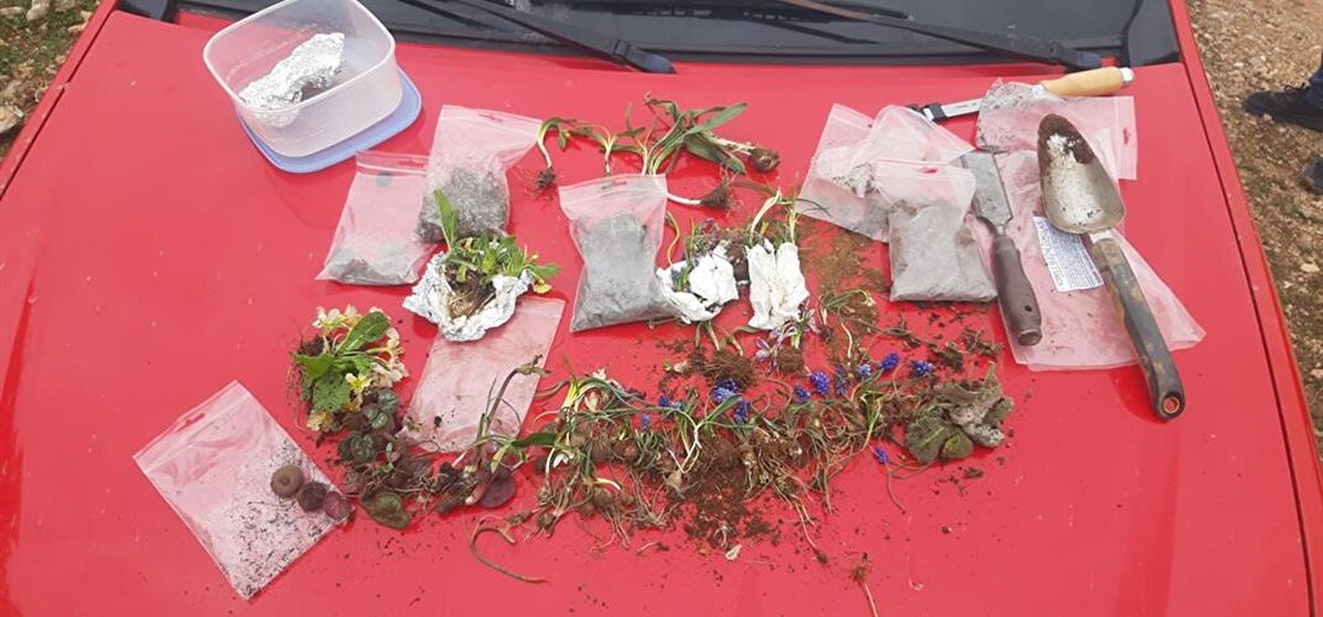 Slovakya vatandaşı oldukları tespit edilen kişilerin her birine, biyoçeşitliliğe zarar vermekten 244 bin 315 TL olmak üzere toplam 488 bin 630 TL idari para cezası kesildi.