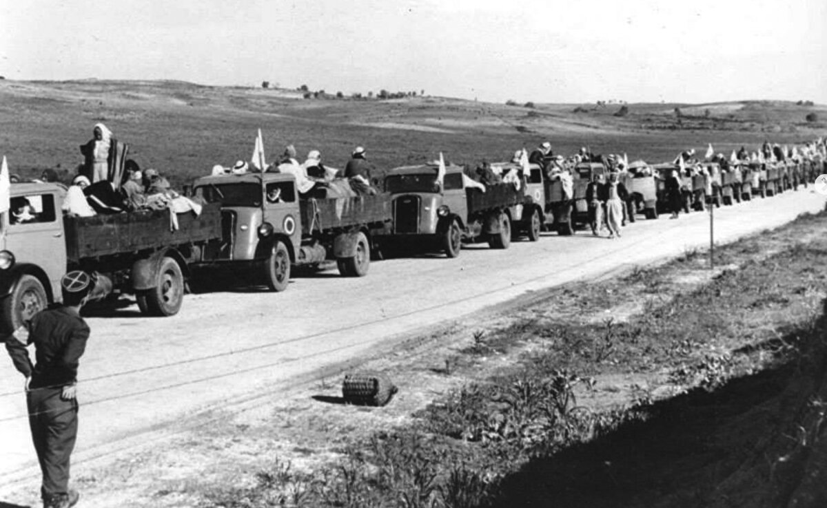 İngiliz delegasyonu tarafından Birleşmiş Milletler'e sunulan 1948 tarihli bir rapora göre, "erkek, kadın ve çocuk yaklaşık 250 Arap, büyük bir vahşet koşullarında öldürüldü." Ayrıca raporda kan donduran şu ifadeler yer alır: "Kadınlar ve çocuklar soyuldu, sıraya dizildi, fotoğrafları çekildi ve ardından otomatik ateş edilerek katledildi.” İsrailli tarihçi Benny Morris de milislerin “vicdansızca yağmaladıklarını, hayatta kalanlardan para ve mücevher çaldıklarını ve cesetleri yaktıklarını” ve tecavüzlerin yaşandığını söyledi.