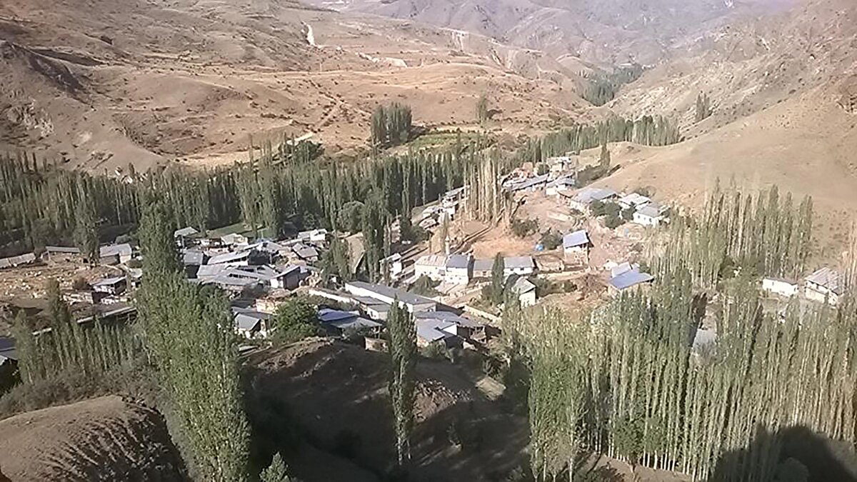 “HASTENEYE GELDİĞİNDE KORKU İÇİNDEYDİ”<br><br>Kurt saldırısında yaralanan ve durumu ağır olan Destegül Uğurlu’nun hastaneye geldiğinde korku içinde olduğunu söyleyen Atatürk Üniversitesi Araştırma Hastanesi Acil Anabilim Dalı öğretim görevlisi Doç. Dr. İbrahim Özlü, şunları söyledi:<br><br>“Kurdun yüzünü yaraladığı Destegül Uğurlu’nun tahlil ve tetkiklerini yaparak ilaç tedavisine başladık. Yaralarının ve kesiklerinin düzelmesi için ilgili cerrahi kliniklerle konsülte ettik. Çene cerrahisinde müdahalesi planlanıyor.<br><br>Müdahalesi belirli bir süre sonra yapılacak. Çünkü enfeksiyon açısından riskli. Kuduz açısından da gerekli ilacı verdik ama sonuçta hastanın bir enfektif durumu var, iyileşme sürecini bekleyerek gerekli tedavisi yapılacak” diye konuştu.<br><br>KEMİK VE YUMUŞAK DOKUDA HASAR VAR”<br><br>Atatürk Üniversitesi Araştırma Hastanesi Ağız, Diş ve Çene Cerrahisi Hekimi Prof. Dr. Ümit Ertaş, “İlk belirlemelere göre kemik ve yumuşak dokuda hasar var. Çene kemiğinde bir problem varsa hem onu hem de yumuşak doku tamirini yapacağız. Kuduz enfeksiyonu yayılmaması için tıbbi bir bekleme süresi var. 5-7 gün arası sürebilir.” dedi.<br>