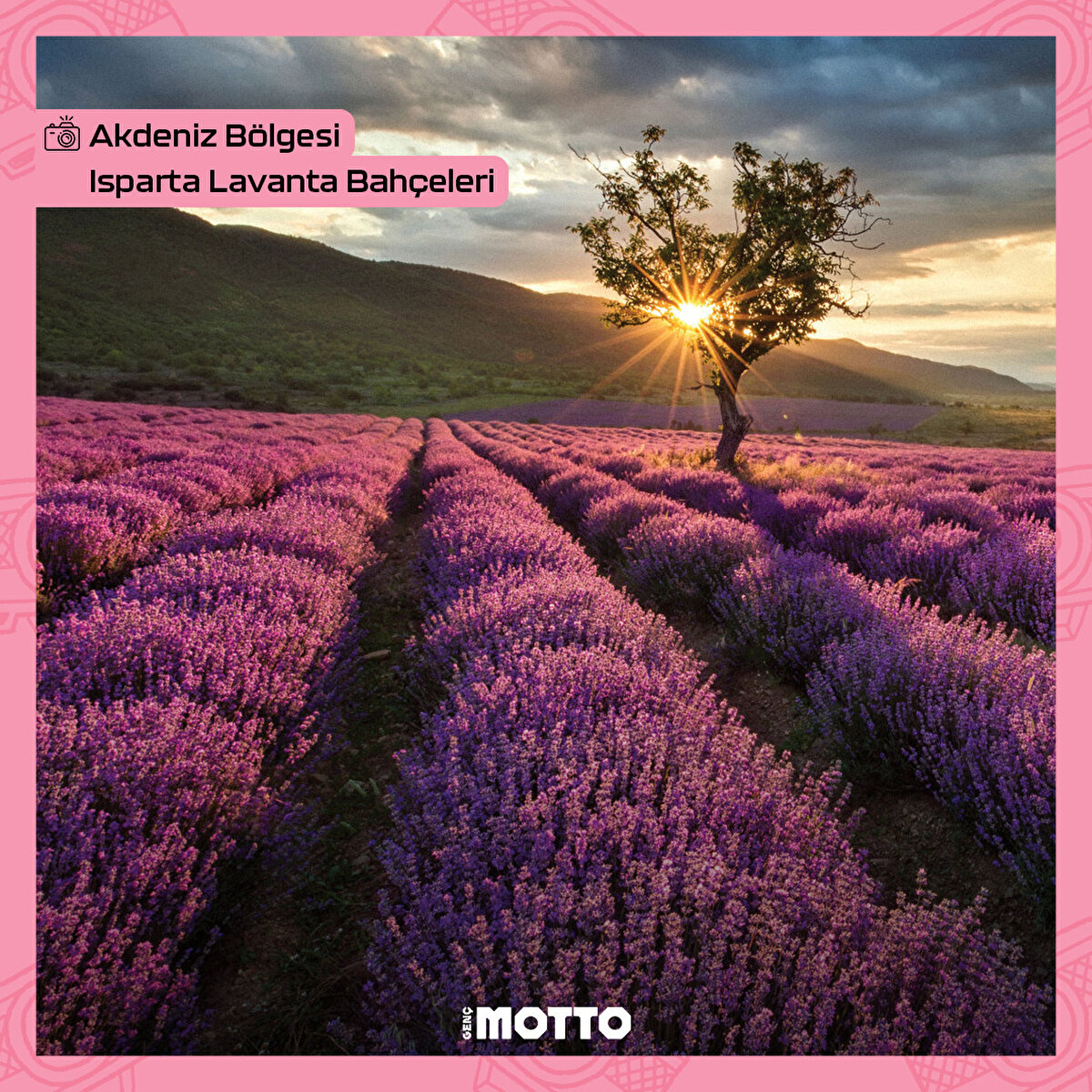 Isparta, Lavanta Bahçeleri