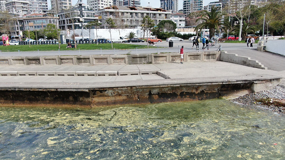 ALG PATLAMASI DA MÜSİLAJA DÖNÜŞEBİLİR<br><br> <br>Denizin şu an besin tuzları açısından zengin olduğunu dile getiren Prof. Dr. Gazioğlu, "Yağmurlar da besin tuzlarının taşınmasına sebebiyet verdi. Baharın gelmesiyle canlanan tabiat emarelerini gösteriyor. Ortam sağlıklı olmayınca bazı türler çok aktif hale geliyor. Bu hadise de buna yönelik. Bazı türler çok hazırdı ve birden bire ürediler. Son 2 saatte sistem çok aktif, o görüntüler görülmüyor. İnsan eliyle toplanabilecek bir kütle yok. Tabiat kendi dağıttı, tabiat şu an kendi kendini restore edebiliyor. Alg patlaması var. Müsilaj da tek bir canlı değil, kombinasyon. Bu alg patlaması da bunlardan biri. Alg patlaması da müsilaja dönüşebilir. Örnek alınması gerekiyor" ifadelerini kullandı. 