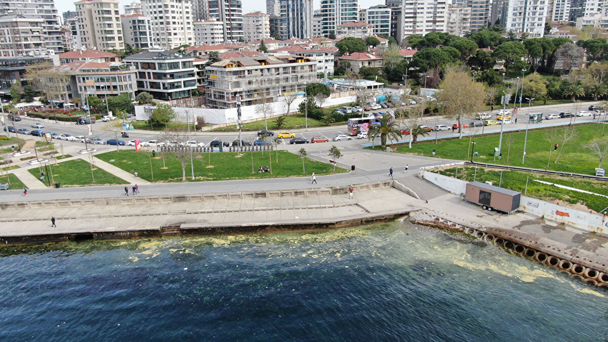 Prof. Dr. Gazioğlu, "Beklediğimiz bir hadise, bu mevsimde biz müsilajın olmasını bekliyoruz. Geçen seneler kadar masif bit kütle oluşturmayabilir çünkü şartlar biraz farklı gelişti. Şu anda ortam besin tuzlarıyla dolu, yakın zamanda yağışlar gerçekleşti ve hava birden bire ısındı. Tabiatta nasıl bitkiler uyanıyorsa denizin içindeki canlılar da uyanıyor. Bu anlamda gördüğümüz kütleler müsilaj olabilir, görseller ilk hallerine yönelik çok yakın. Geçen seneki kadar büyük masif bir yapıyı oluşturmasını beklemiyoruz şu aşamada. Sene içinde ALEMDAR 2 gemisiyle yaptığımız pek çok seferde biz bir önceki senenin ilk halleri gibi halleri denizlerde örneklemedik. Bu sene öyle bir yapı oluşmayabilir ama oluşmayacağını da göstermez. Sürekli takip etmek, izlemek gerekiyor bu yapıları. Biz de bunu yapıyoruz. İnsanlarda algıda seçicilik arttı" diye konuştu. 
