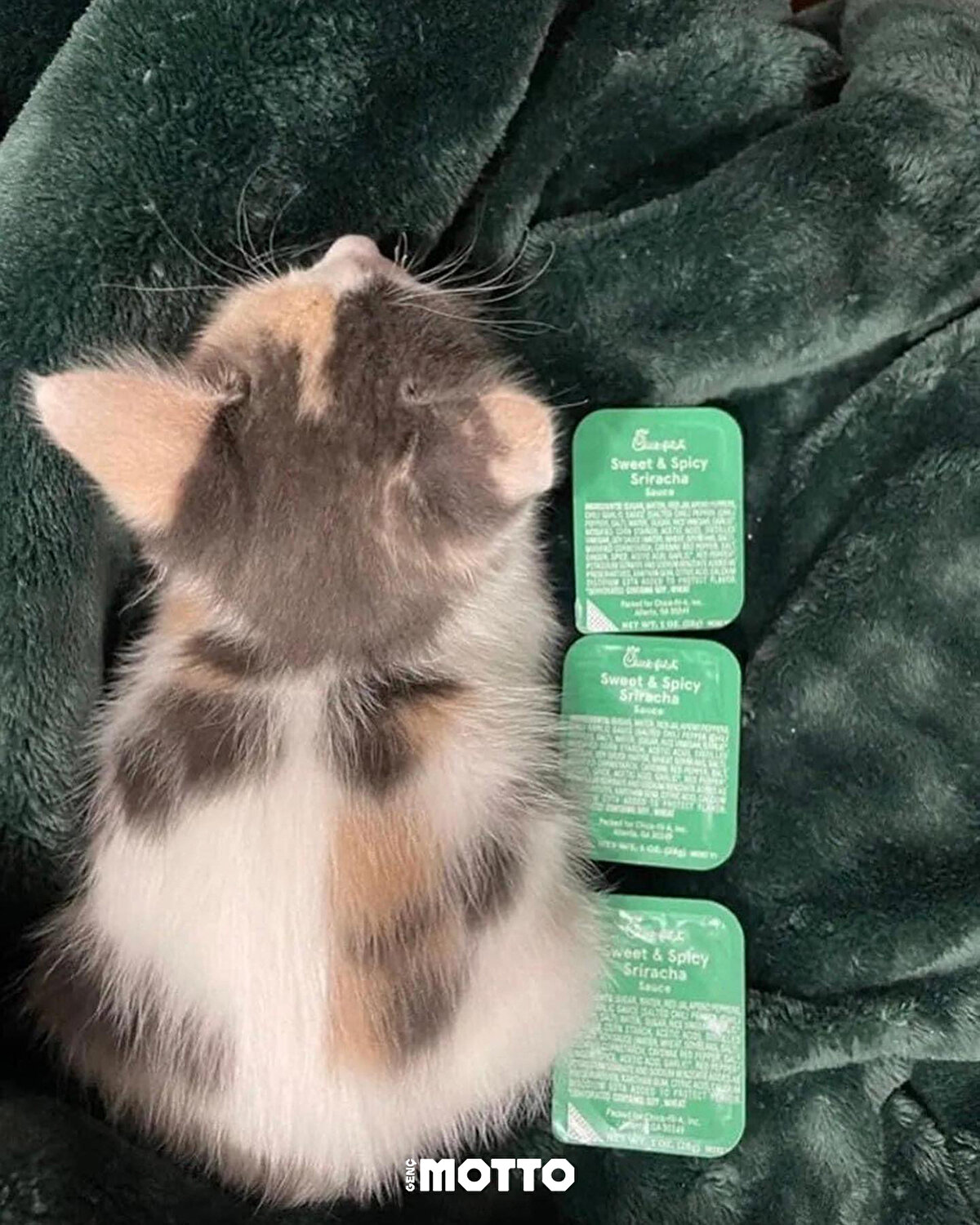 Çorbamı içerken 😸