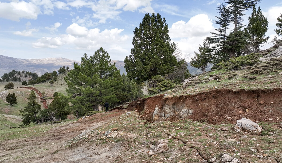 Yüzey kırıklarının Elbistan merkezli gündüz meydana gelen depremde oluştuğunu ifade eden Akgöz, "Şahinkayası'nın Karatepe mevkisinden başlayan yarılma, oradan Çorak ve Tekekayası mevkisi ile Sisne mezrasından sonra Elbistan'a kadar devam edip gidiyor." dedi.