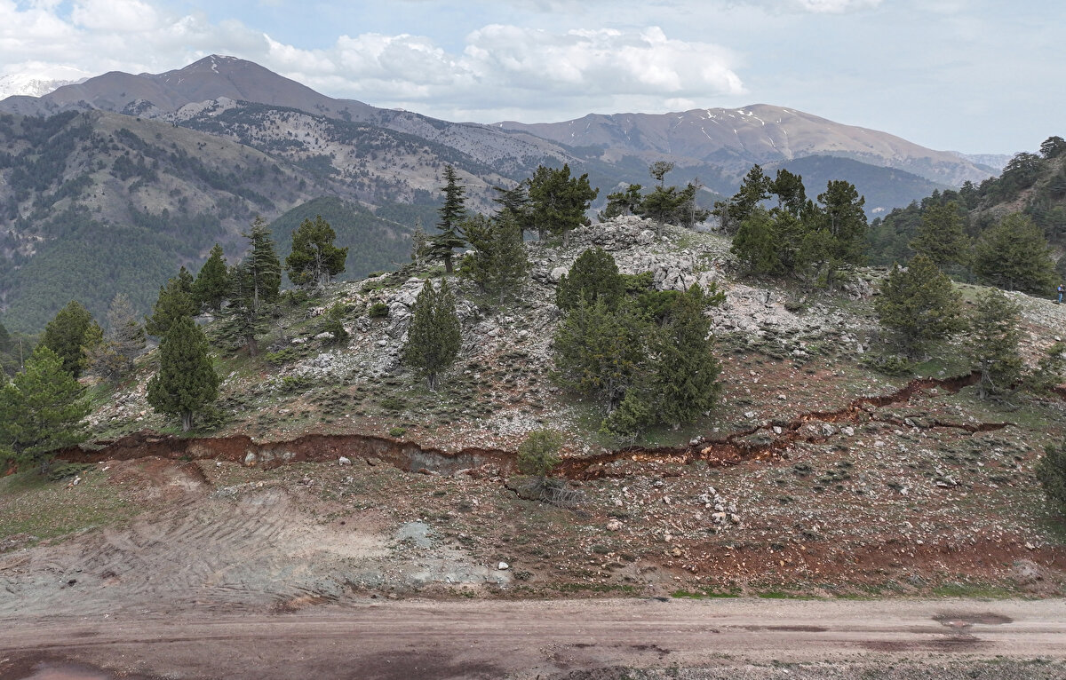 Yaklaşık 4 metreyi bulan çökme ve kaymalar dolayısıyla bazı ağaçlar köklerinden koptu, tarlalarda bölünmeler oluştu. Tarım alanları yüzey kırıkları nedeniyle parçalara ayrıldı.