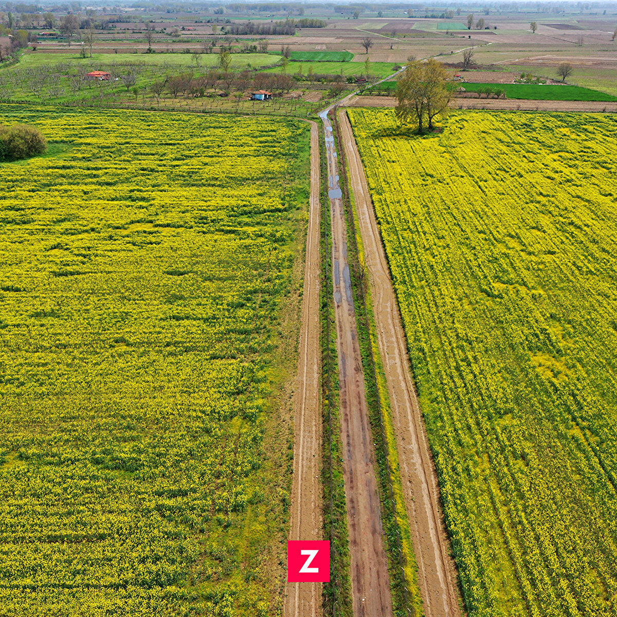 Trakya çiftçisinin kanola tarımını çok iyi öğrendiğini anlatan Aksoy, şunları kaydetti:<br><br>"Kanola, ayçiçeğine alternatif ürün olarak düşünülmüş ilk başta ama hata yapılmış. Hiçbir ürün bir ürüne alternatif değil. Kanola üretim alanlarımız yıllara göre değişmekle beraber çiftçimizin durumu ve olayı kavraması, tecrübe edinmesiyle peyderpey artmıştır. İki yıl önce bizim üretimimiz yaklaşık 40 bin dekardı şimdi 49 bin dekar alana çıktı.