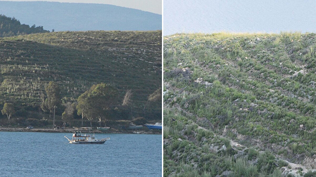 Milas ilçesi Meşelik Mahallesi'ndeki ormanda 29 Temmuz 2021 günü saat 14.30 sıralarında yangın çıktı. Alevler, rüzgarın da etkisiyle büyüyerek, Bodrum'un Güvercinlik Mahallesi'ne sıçradı.