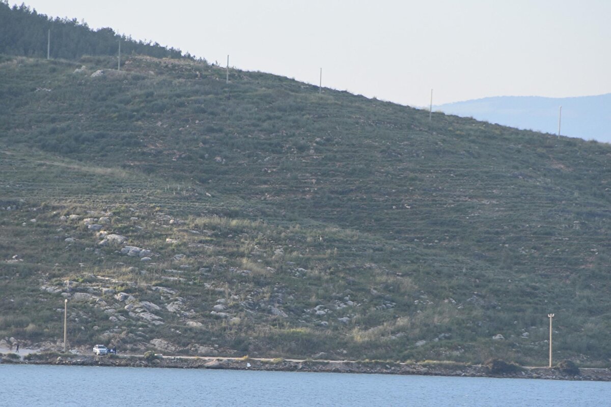 2021 yılında çıkan yangınlarda Muğla genelinde toplam 52 bin hektar alan zarar gördü. Yangınların ardından Muğla'da toplam 5 milyon fidan dikildi, 215 kilo tohumlama yapıldı. 