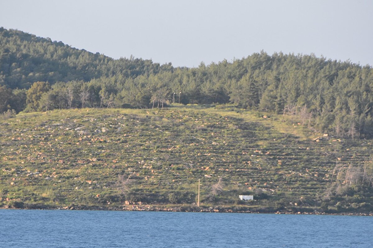 Açan gelincikler ise fotoğraf tutkunları için doğal fon oluşturdu. Bölgenin son hali dron ile görüntülendi.