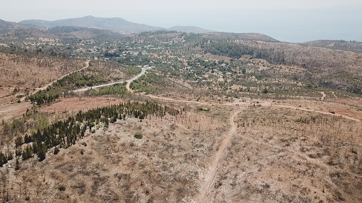 GÜVERCİNLİK YENİDEN YEŞERDİ<br>Yangınların ardından Bodrum'un Güvercinlik Mahallesi'nde 11 Kasım 2021'de Milli Ağaçlandırma Günü kapsamında fidan dikim töreni yapıldı.