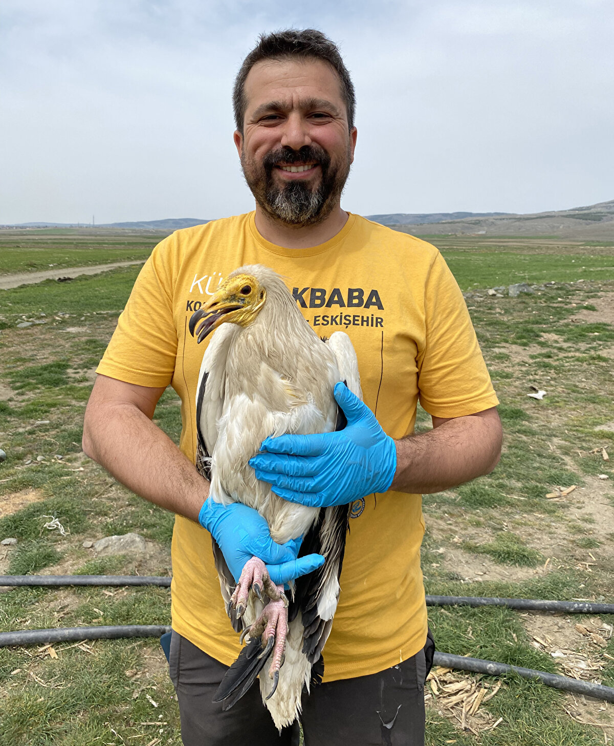 Midas, 17 Eylül 2022'de Hatay'da İskenderun, sonra da sırasıyla Suriye, Ürdün, İsrail ve Mısır'dan geçti. Mısır yolculuğu esnasında Süveyş kanalından geçerek 5 günde Libya'ya, oradan da Çad'a ulaştı.