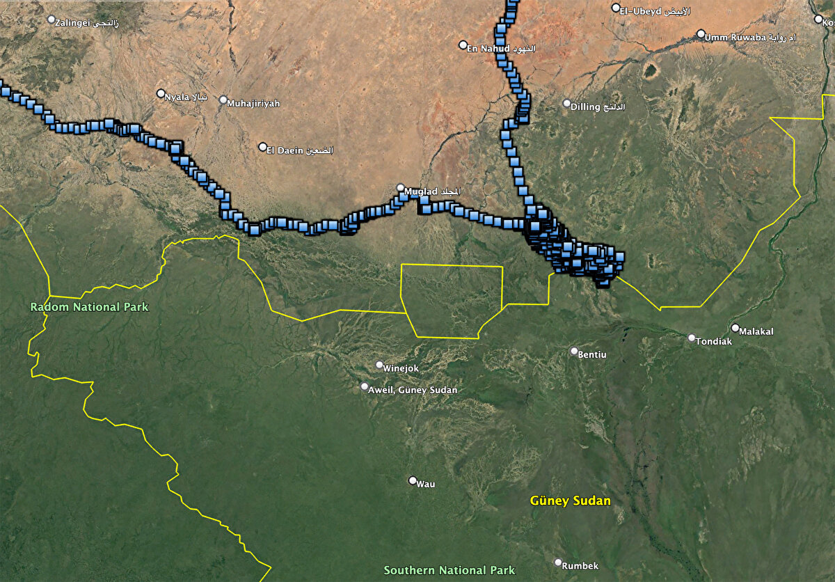 NESLİ TEHLİKE ALTINDA<br>Koptekin, "Bu türler IUCN verilerine göre nesli tehlike altında olan türler, bunların koruma statülerini genişletmemiz için yuvalama ve beslenme alanlarını doğru olarak tespit etmemiz çok önemli. Biz de Avrupa Hayvanat Bahçeleri Birliği çalışmalarımız kapsamında yürüttüğümüz koruma projelerinden birinde bu nedenle küçük akbaba türünü seçtik." diye konuştu.<br><br>KuzeyDoğa Derneği Bilim Koordinatörü Emrah Çoban da bu çalışmayı Türkiye'de ilk defa Iğdır'da gerçekleştirdiklerini, ikincisini ise Eskişehir'de yaptıklarını aktardı.