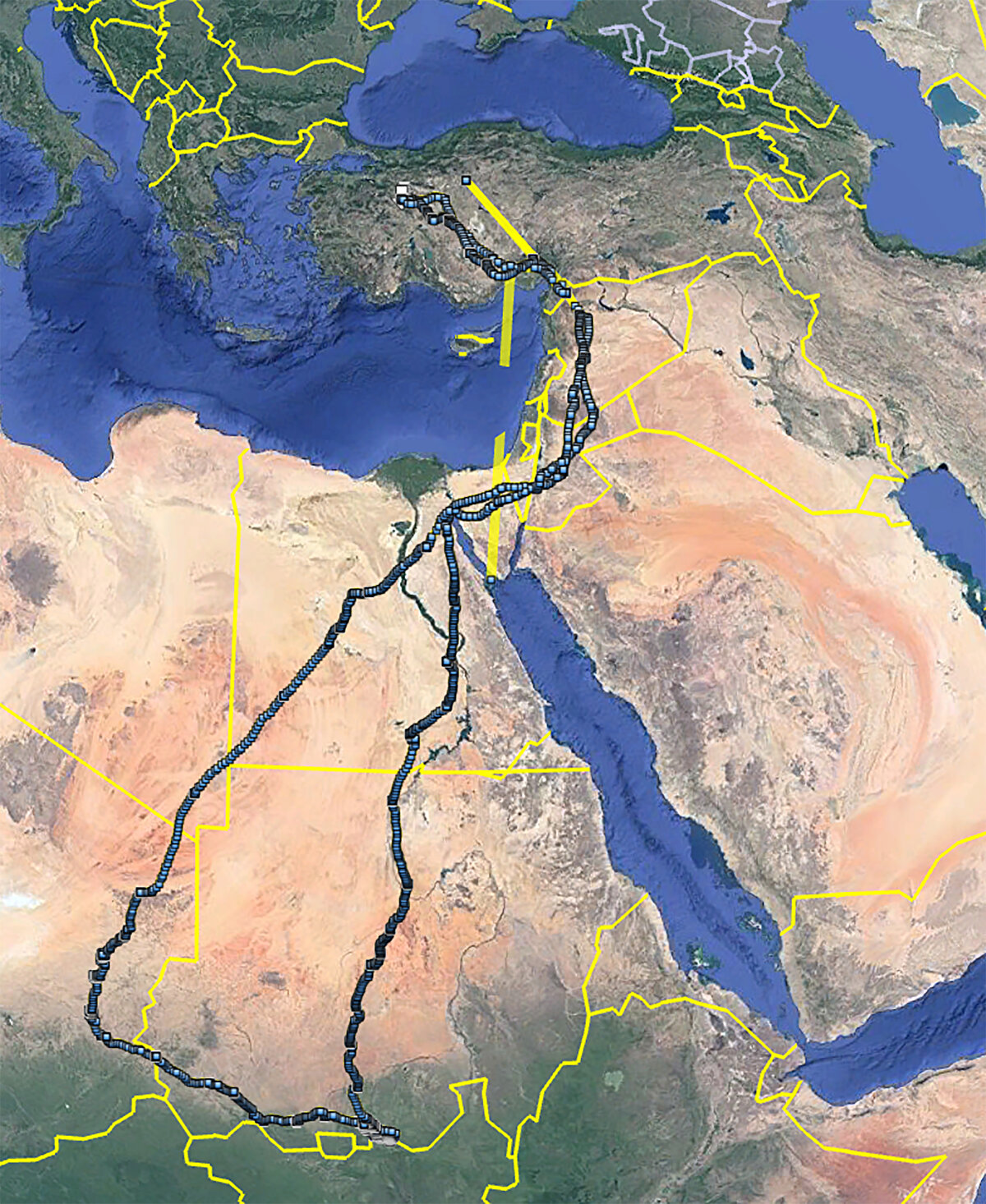 ÜREME NOKTALARININ VE BESLENME ŞEKİLLERİNİN HARİTALARI ÇIKARILDI<br>Proje kapsamında akbabalarla yapılan çalışmayı anlatan Çoban, "Küçük akbabaları yakaladık ve sırtlarına 30 gramlık, dakikada bir koordinat gönderebilen vericiler yerleştirdik ve doğaya bıraktık. Bu sayede nesli tehlike altındaki bu hayvanların Eskişehir'deki üreme noktalarını, beslenme şekillerini, göçte hangi ülkelere gittiklerini, bu ülkelerde hangi yerlerde konakladıklarını, kışlama alanlarının nereler olduğunu çıkardık." ifadesini kullandı.<br>"ÇOK ÖNEMLİ TÜRLER ARASINDA"<br>Gelişen uydu verici sistemlerinin her geçen yıl yaban hayatının tanınmasına daha fazla katkı sağladığına dikkati çeken Çoban, "Midas, tam 1 yıllık sürede 32 bin kilometreden fazla kanat çırpmış ve 9 farklı ülkeyi gezmiş. 126 kilometre hıza ulaşmış ve 7 bin 436 metre yüksekliğe çıkmış." dedi.<br><br>Çoban, şöyle devam etti:<br><br>"Akbabalar dünyada çok önemli türler arasında, çünkü leş yiyici canlılar, ortamı temizleyici rolündeler. Küçük akbabalar da özellikle hayvan zehirlenmelerinden sonra dünyada en hızlı basamak kaydeden kuş statüsüne girdi ve dünya çapında nesilleri tehlike altına girdi. Bizim de ülkemizde görülen 4 kara akbaba türü arasında küçük akbaba nesli tehlike altında olan bir tür ve izlenmesi gerekiyor. Biz de uluslararası camiada üzerimize düşen rolü alarak küçük akbabaları izlemeye devam ediyoruz."