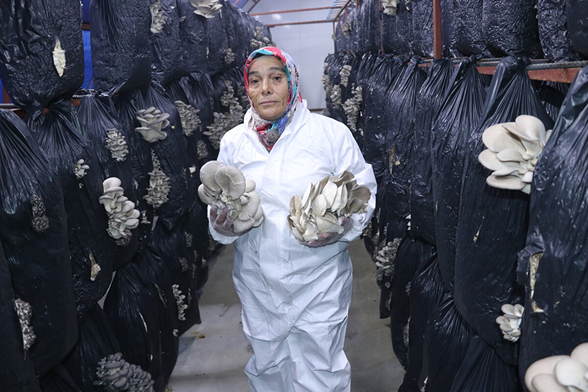 "İstihdamı artırabilmek için ilave projeler yapmayı düşünüyoruz"<br><br>Çandır Halk Eğitim Merkezi Müdürü ve Mantar Üretim İşletmesi Koordinatörü Mustafa Esim, Çandır Belediye Başkanı Mustafa Ertan Örgün ile 2020'de mantar üretimi için proje hazırladıklarını söyledi.