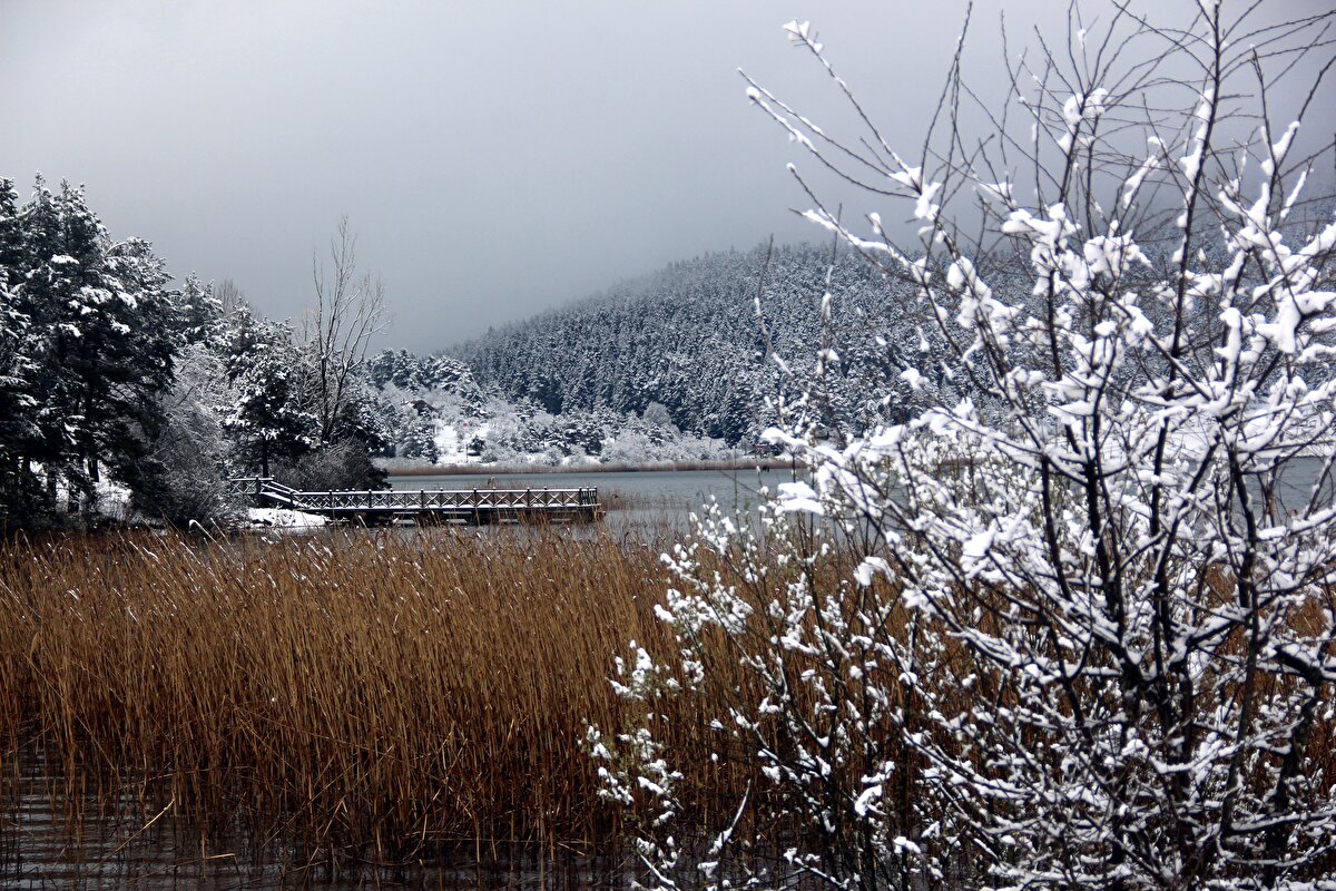 Bolu merkeze 40 kilometre uzaklıktaki, doğal güzellikleriyle ünlü Abant Gölü Milli Parkı'nda da kar yağışı etkili oldu.